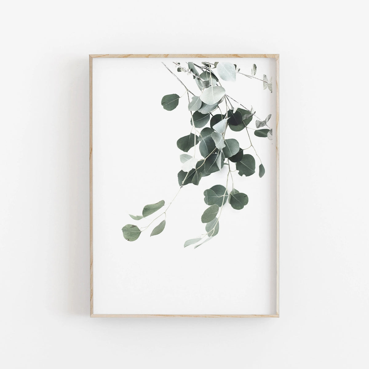 Nordic Minimalist Botanical Eucalyptus Canvas Wall Art