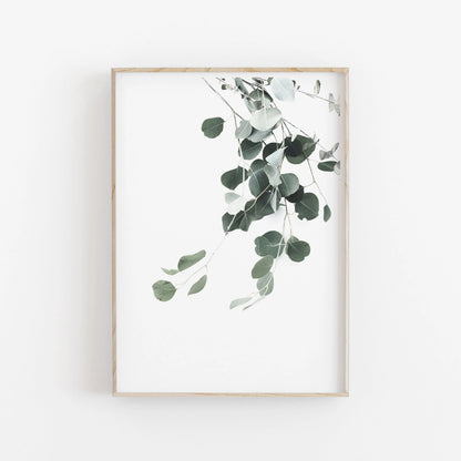 Nordic Minimalist Botanical Eucalyptus Canvas Wall Art