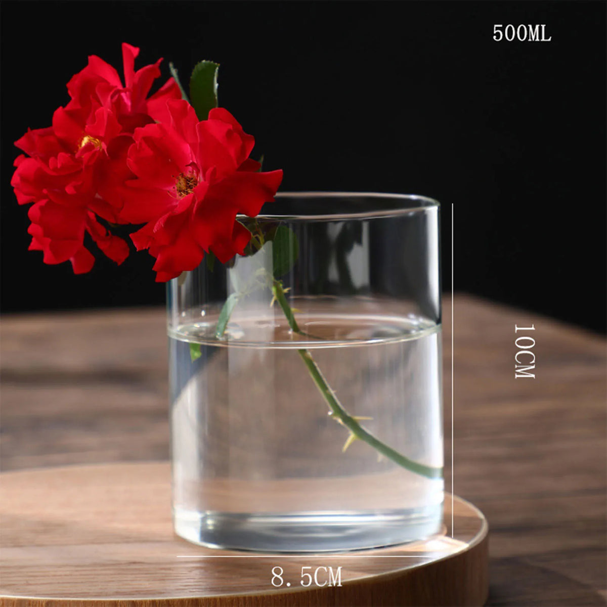 Glass Cylinder Hydroponic Desktop Vase