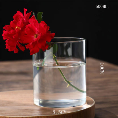 Glass Cylinder Hydroponic Desktop Vase
