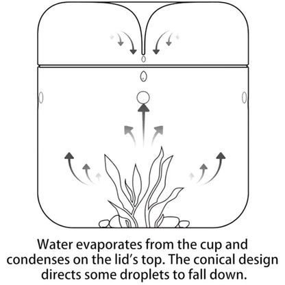 Two glass dome terrariums in 12x12 and 12x17.5cm sizes side by side