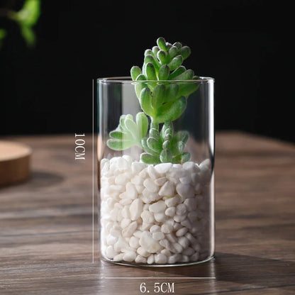Clear Glass Cylinder Flower Vase