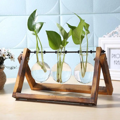 Style B wooden frame terrarium with single glass vase on Japandi home shelf