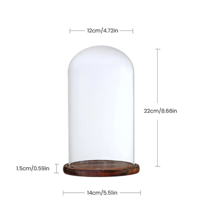 Clear Glass Dome Cloche Vase