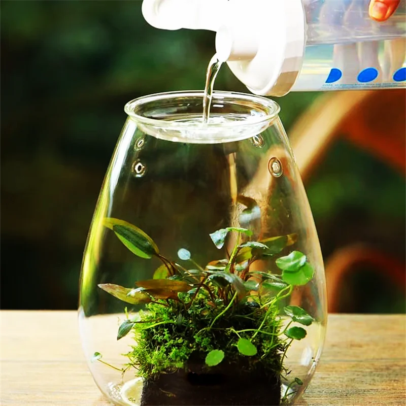 Glass terrarium bottle with lid showing succulent and stone arrangement