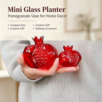 Small pomegranate glass vase with plant cutting in hydroponic water display on windowsill
