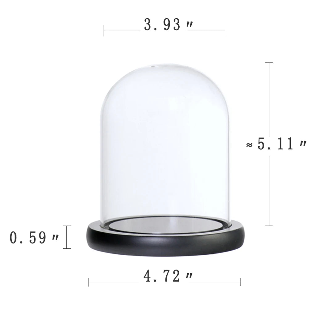 Glass cloche vase with botanical arrangement inside display
