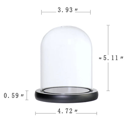 Glass cloche vase with botanical arrangement inside display