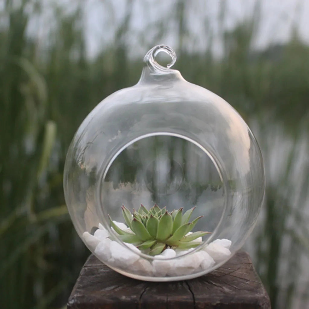 Close-up of glass ball planter with wood bead and rope hanging detail