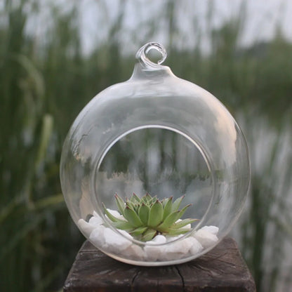 Close-up of glass ball planter with wood bead and rope hanging detail