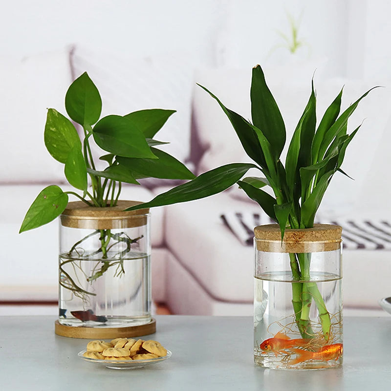 Hydroponic planting pot imitation glass resin on white table