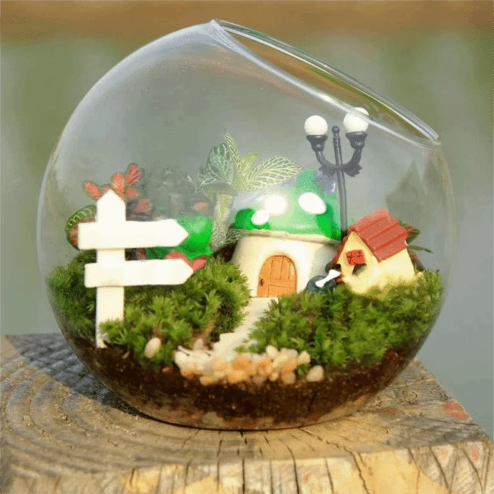 Oblique glass ball terrarium multiple sizes on white shelf