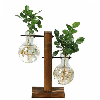 Glass bulb terrarium on wooden stand styled with fresh herb cutting