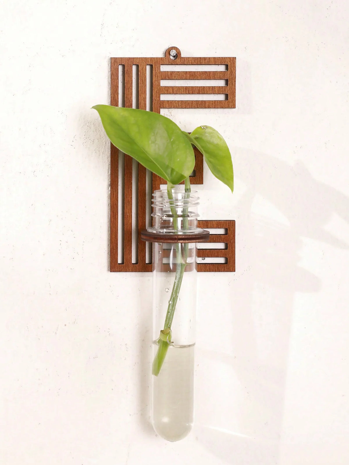 Alphabet Letter Wood Propagation Station