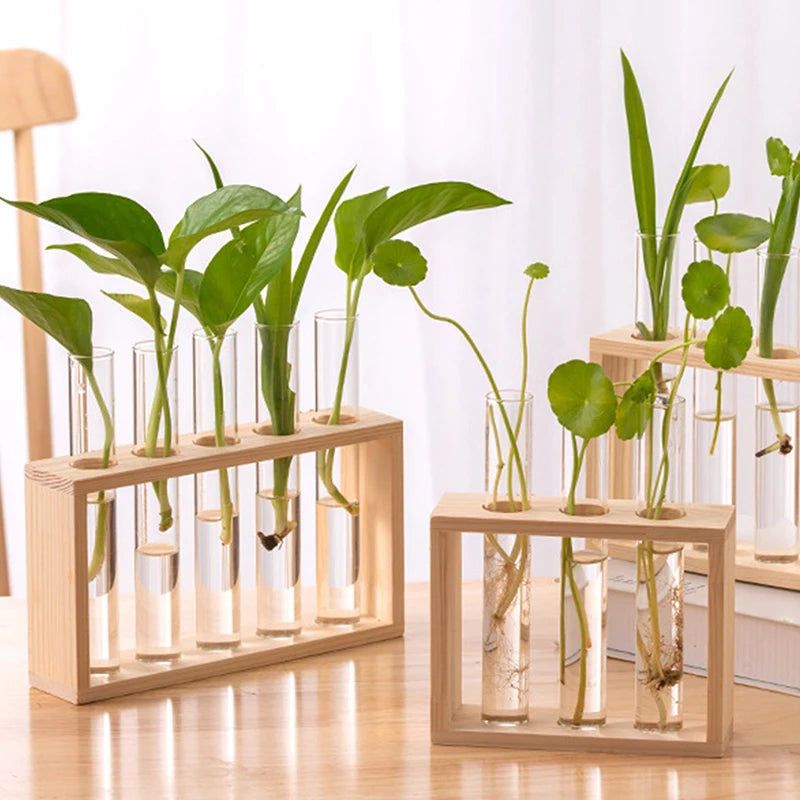 Wooden frame test tube hydroponic planter with green plant cuttings on desk
