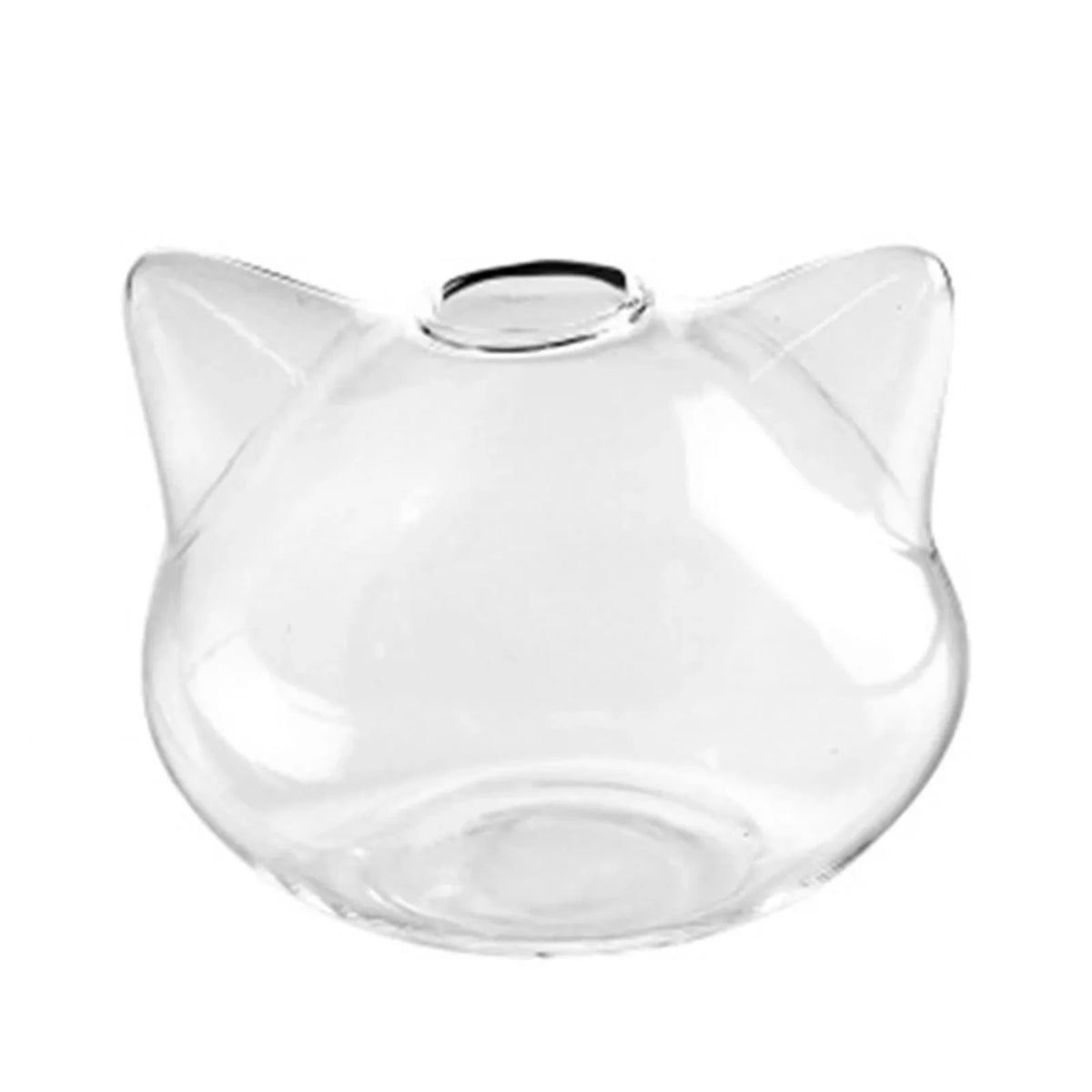 Cat glass planter on windowsill in natural light with trailing plant