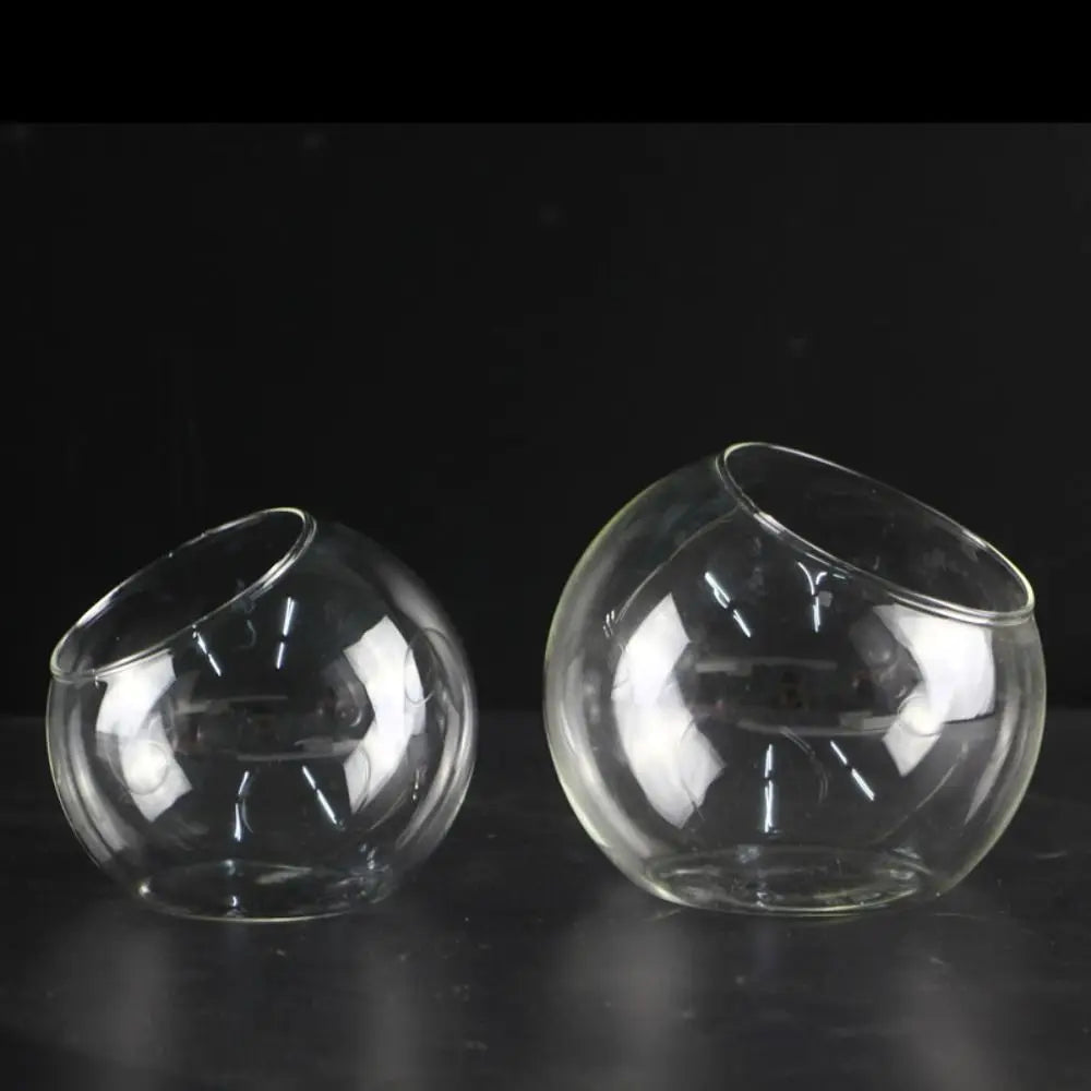 Glass sphere terrarium 8cm to 20cm sizes comparison