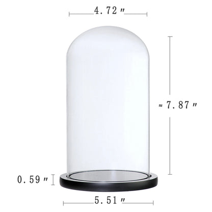 Clear Glass Dome Cloche Vase