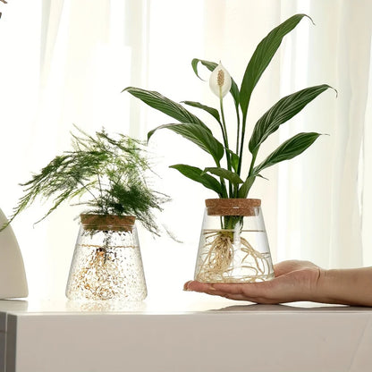 Glass propagation station with leafy plant cuttings for home office desk decor