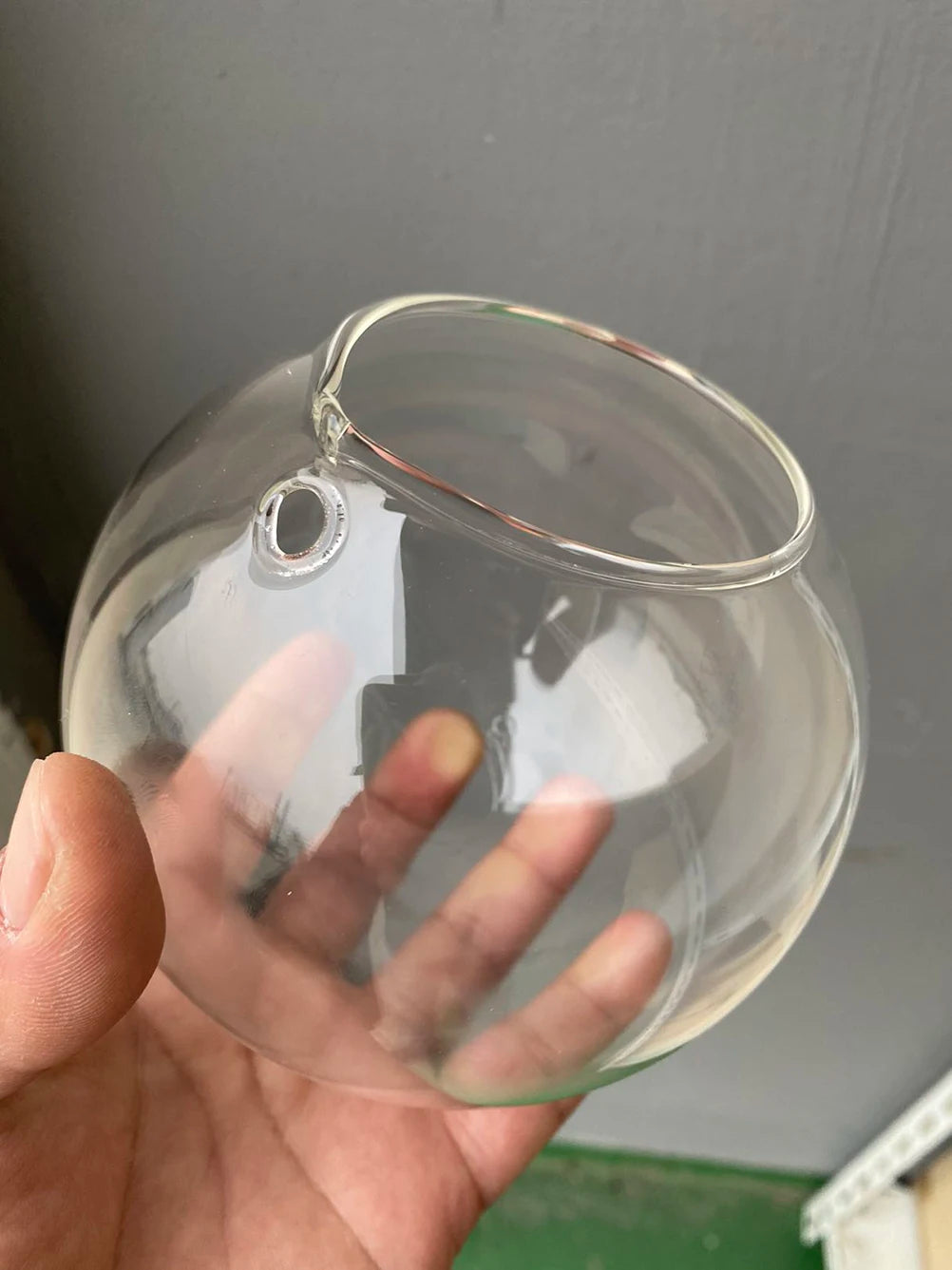 Round glass ball vase as tabletop terrarium with air plant and moss