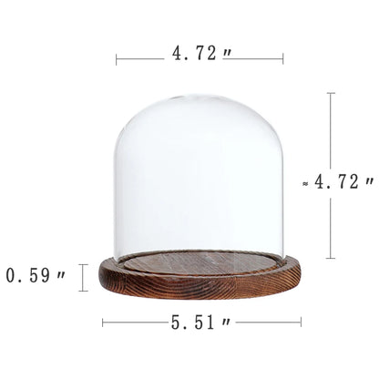 Clear Glass Dome Cloche Vase
