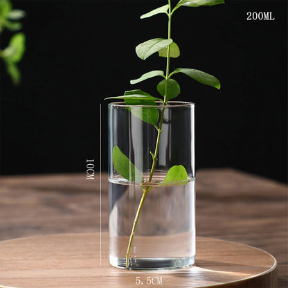 Glass Cylinder Hydroponic Desktop Vase
