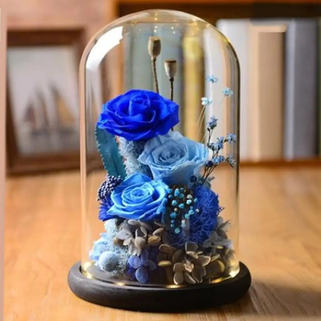 Glass dome terrarium display with brown wooden base