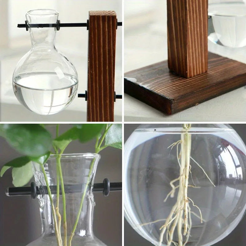 Retro glass hydroponic planter displayed with dried botanicals on wooden shelf
