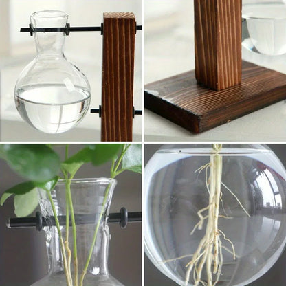 Retro glass hydroponic planter displayed with dried botanicals on wooden shelf