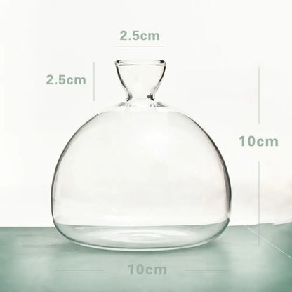 Gift-ready avocado seed vase with instruction stickers attached