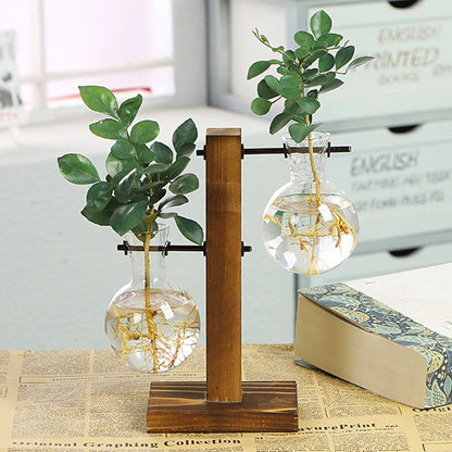 Spherical glass bulb terrarium on natural wooden stand on home desk