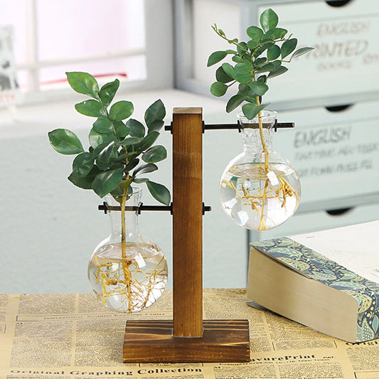 Spherical glass bulb terrarium on natural wooden stand on home desk