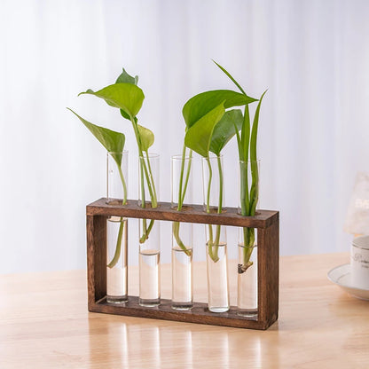 Overhead view of wooden frame glass test tube hydroponic planter with greenery