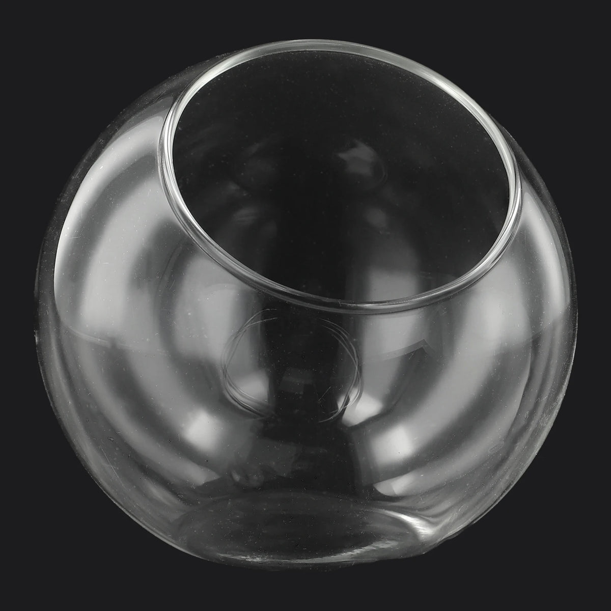 Style B eco glass hanging vase with small plant cutting and water