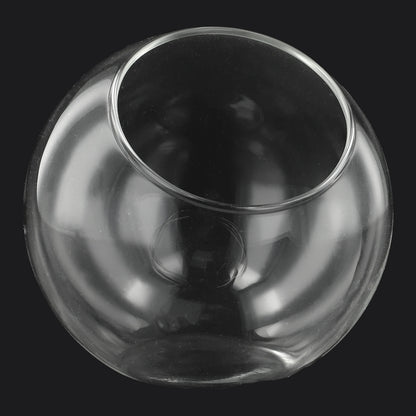 Style B eco glass hanging vase with small plant cutting and water