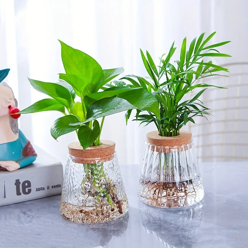 Rectangular glass self-watering planter for herbs or small indoor plants
