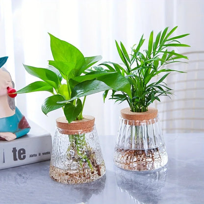 Rectangular glass self-watering planter for herbs or small indoor plants