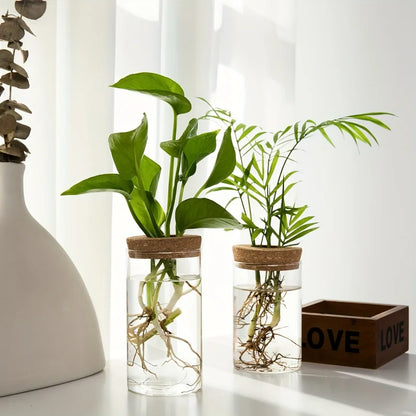 Two glass hydroponic vases side by side in 6.5x10cm and 6.5x12cm sizes