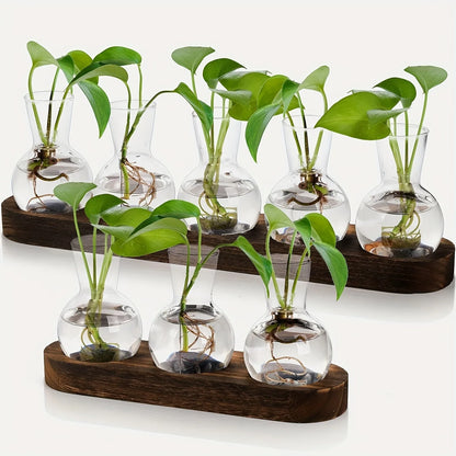 Style A glass terrarium with wooden tray holding hydroponic plant cutting