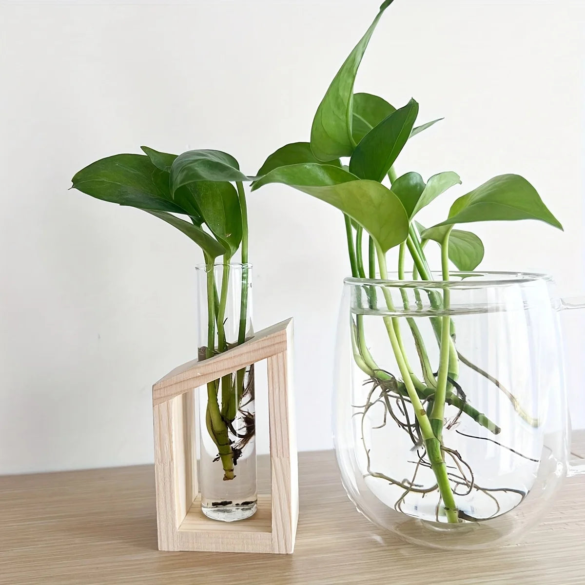 Test tube glass hydroponic vase wooden stand desktop terrarium