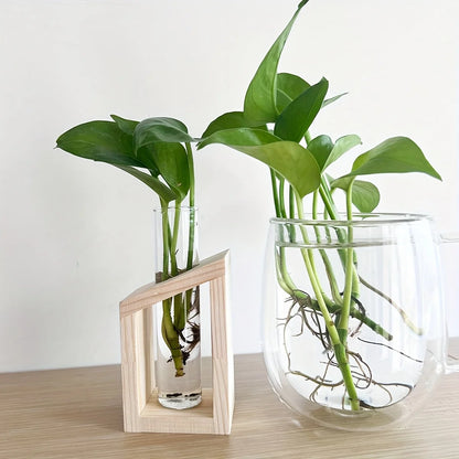 Test tube glass hydroponic vase wooden stand desktop terrarium