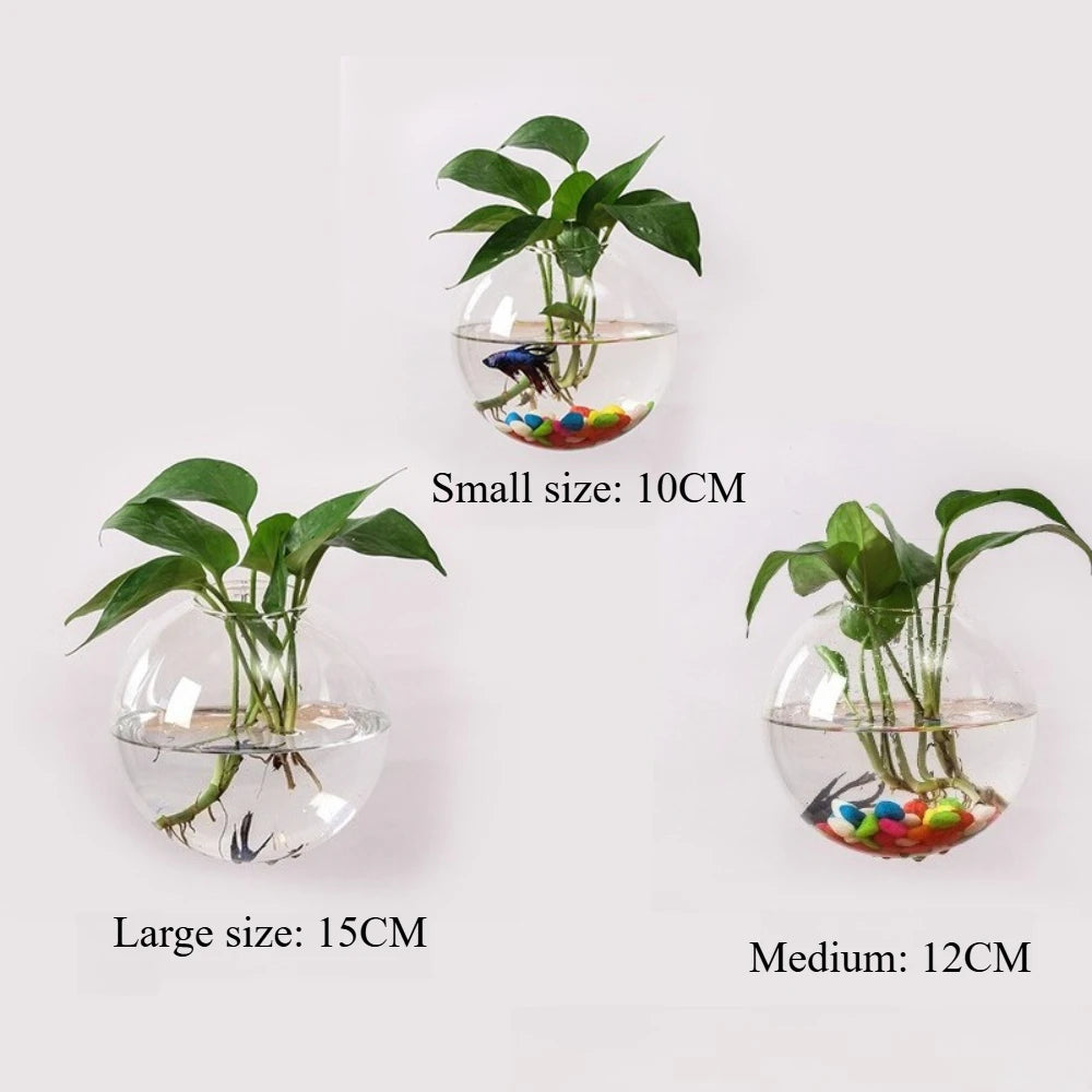 Style C large spherical glass wall vase with hydroponic cutting on display