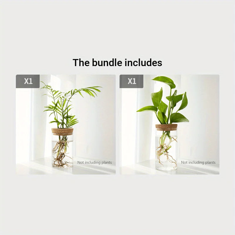 Top view of clear glass bulb vase with fresh green leaf cutting in water