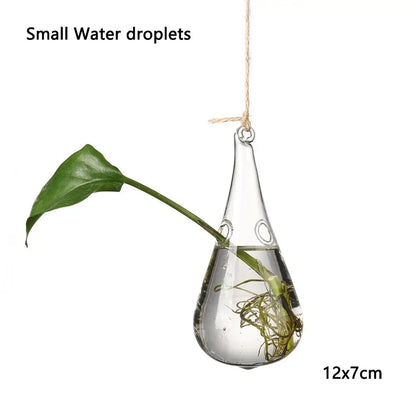 Bell glass hydroponic hanging vase styled in a Japandi interior with rope cord