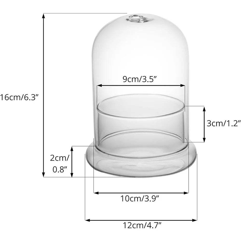 Side view of glass bell jar cloche showing ventilation holes on wooden base