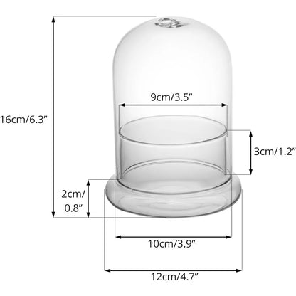 Side view of glass bell jar cloche showing ventilation holes on wooden base