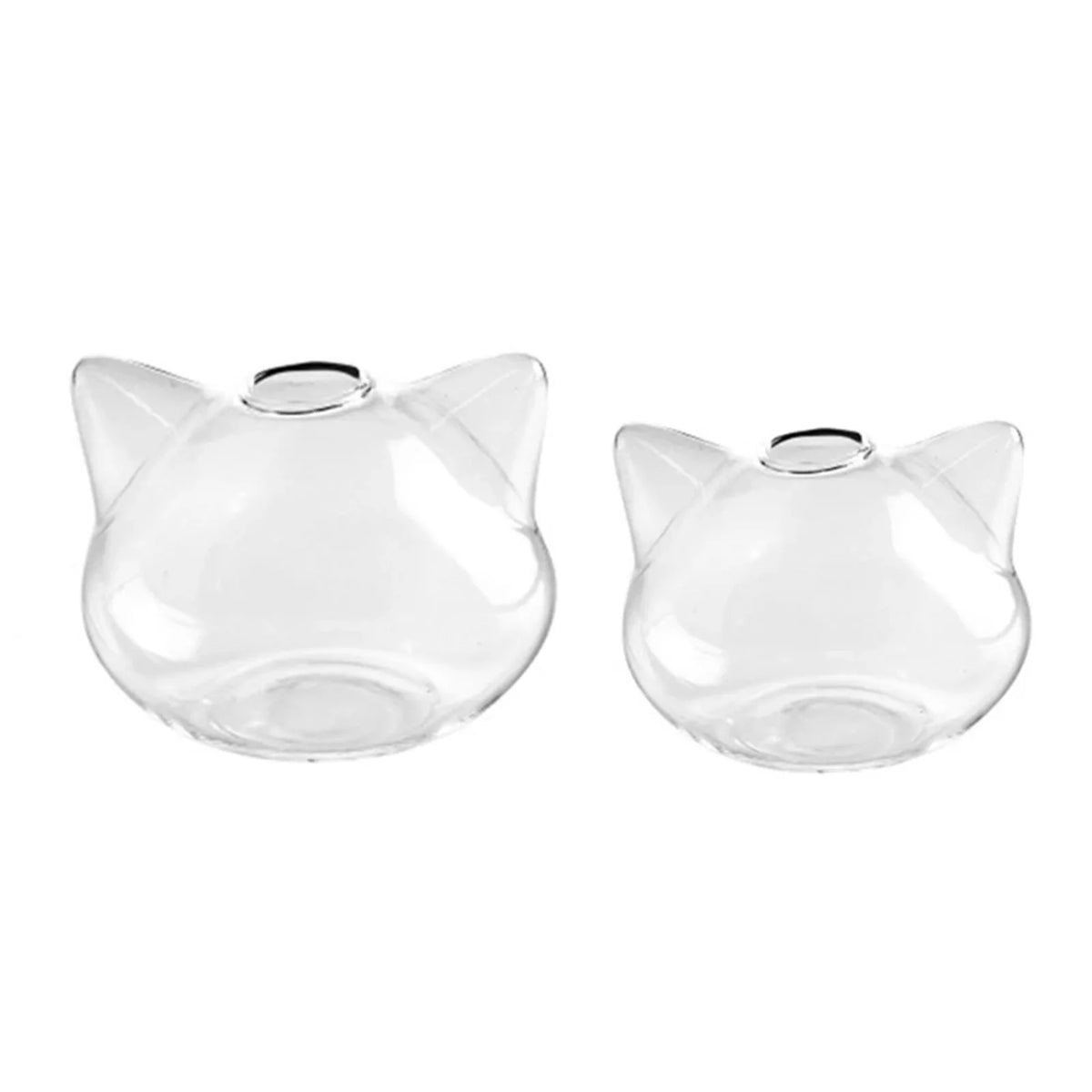 Close-up of cat figure detail on clear glass tabletop plant planter