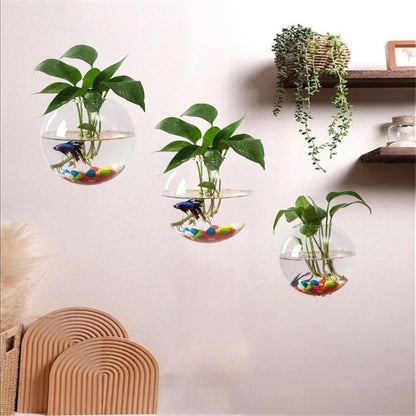 Style B spherical glass wall vase holding a single stem through globe opening