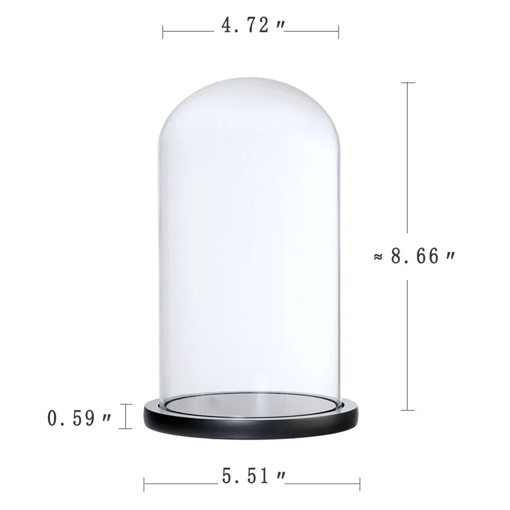 Clear Glass Dome Cloche Vase