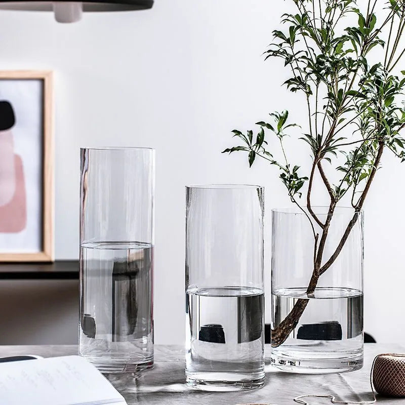 Medium glass cylinder vase 6.5x15cm with hydroponic stem cutting on desk